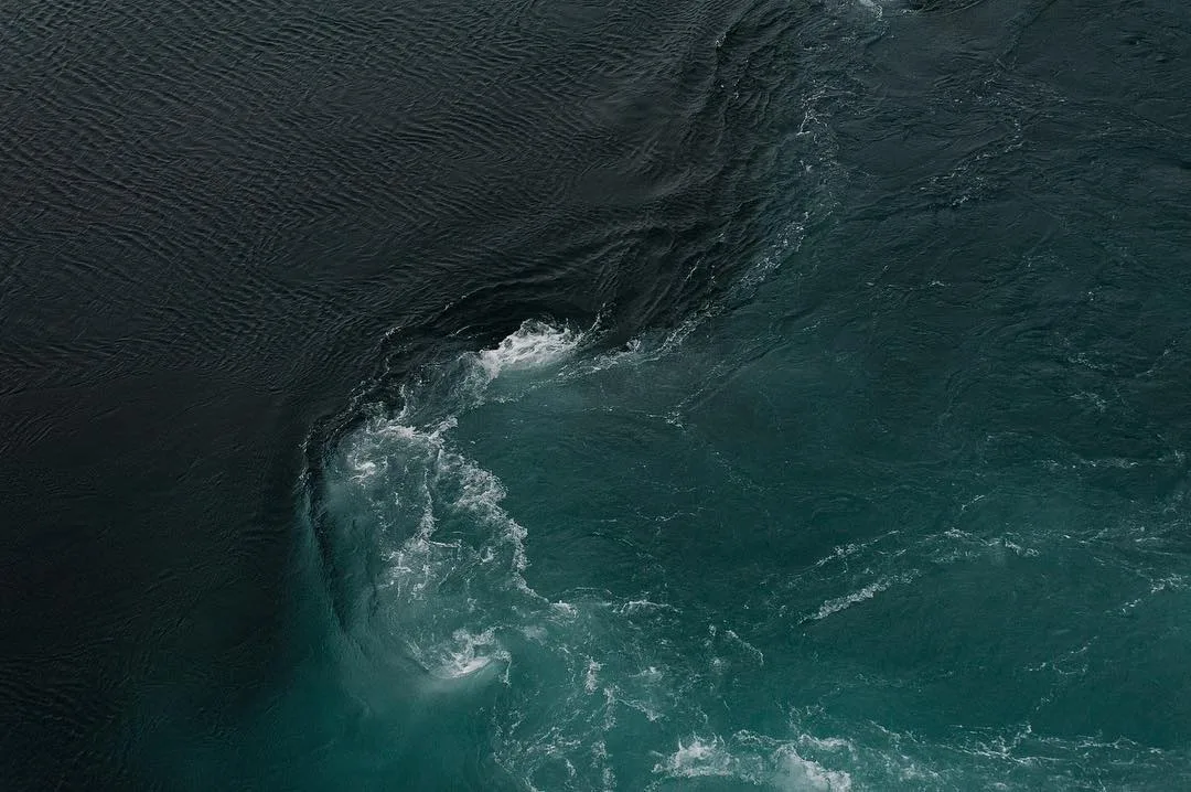 norvege current