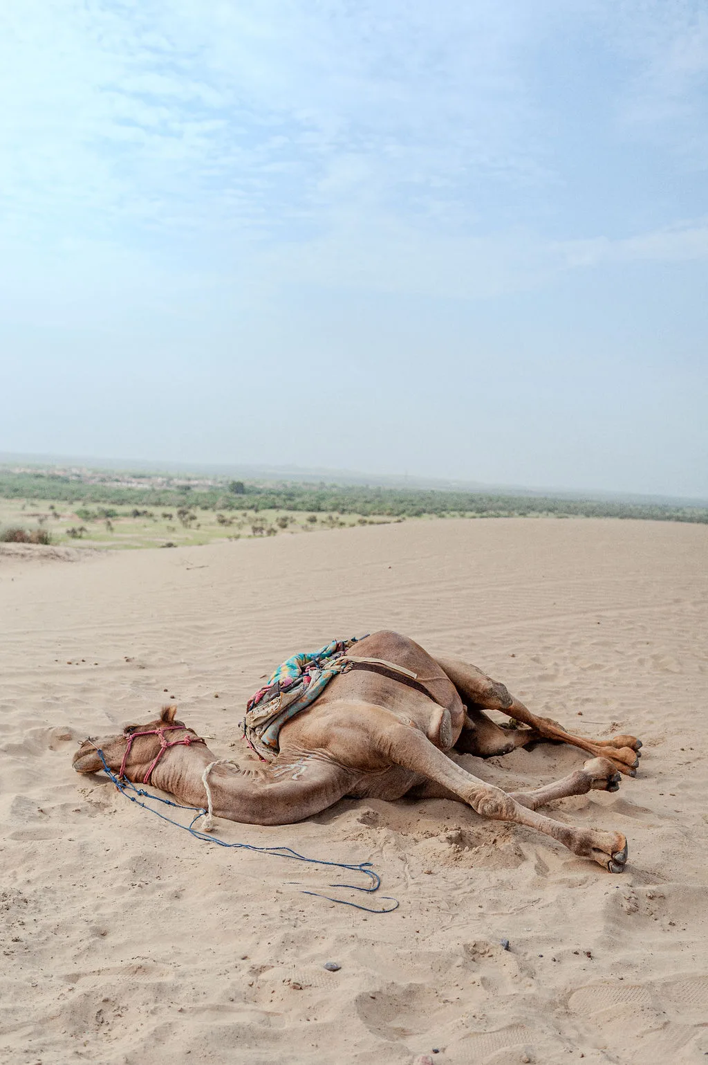 Inde-7