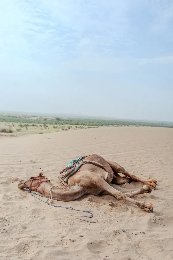 Inde — photo 3 sur 11, par Jonathan Moyal