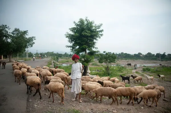 Inde — photo 6 sur 11, par Jonathan Moyal