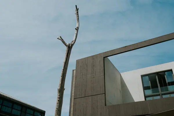 Spaces — photo 2 sur 8, par Jonathan Moyal