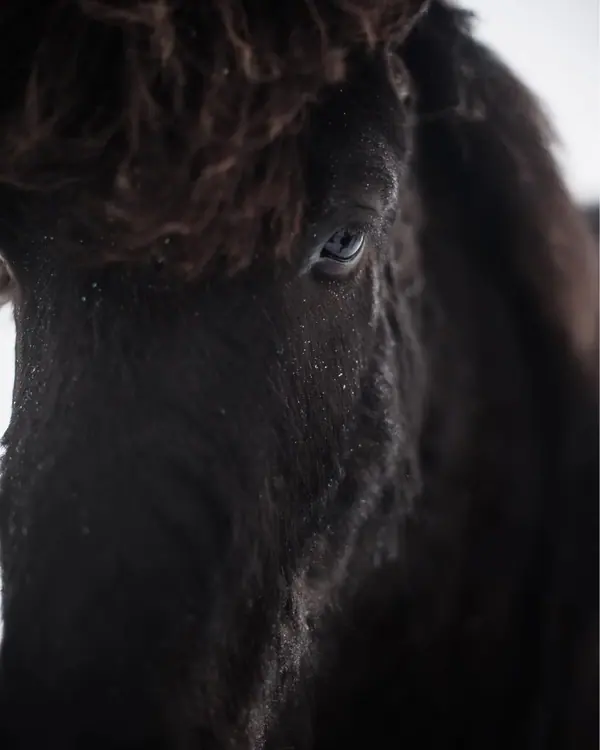 Islande — photo 3 sur 14, par Jonathan Moyal