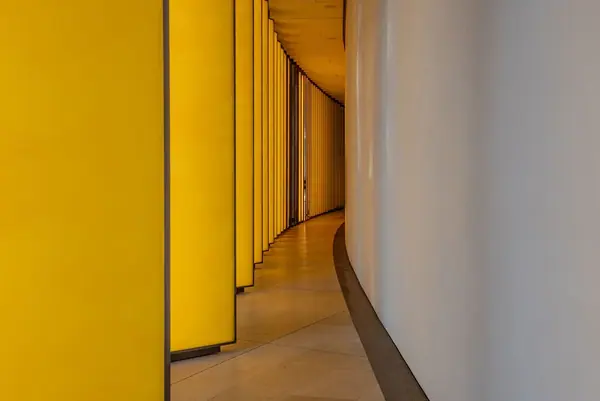 Fondation Louis Vuitton — photo 3 sur 11, par Jonathan Moyal