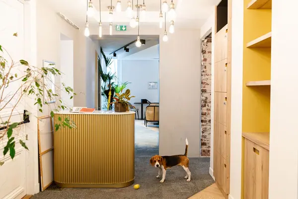 Zenchef — Bureaux parisiens — photo 6 sur 9, par Jonathan Moyal