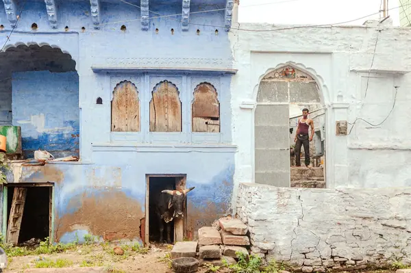 Inde — photo 7 sur 11, par Jonathan Moyal