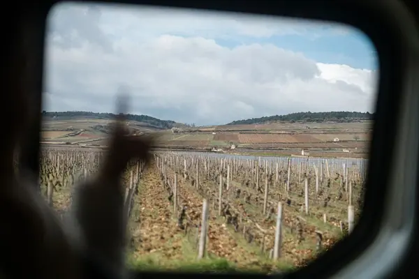 Domaine Millot — Reportage dans les vignes — photo 2 sur 9, par Jonathan Moyal
