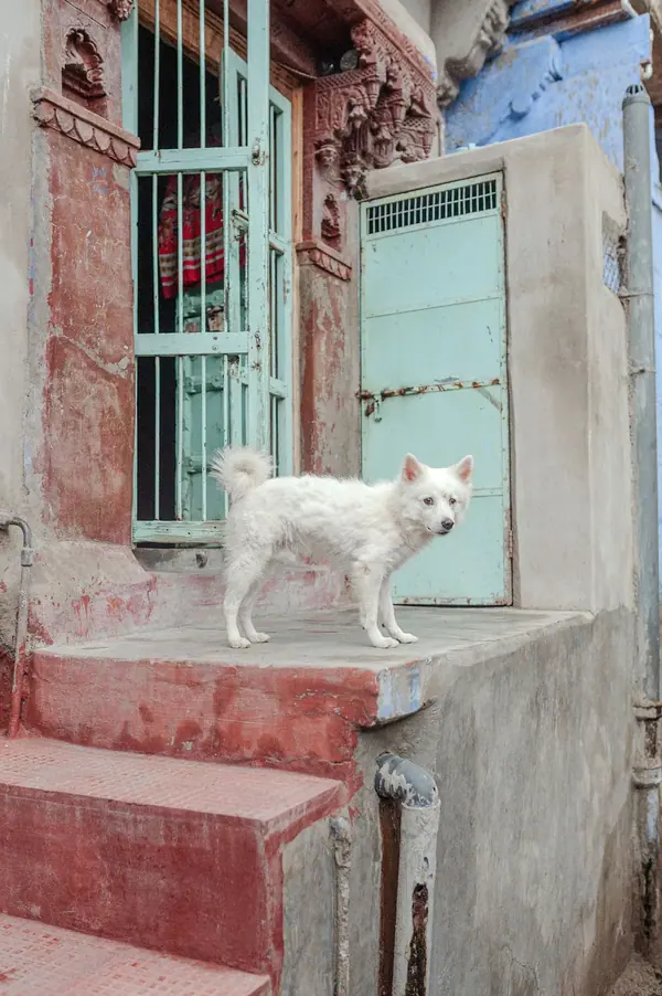 Inde — photo 2 sur 11, par Jonathan Moyal