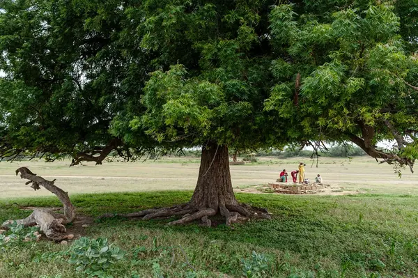 Inde — photo 9 sur 11, par Jonathan Moyal